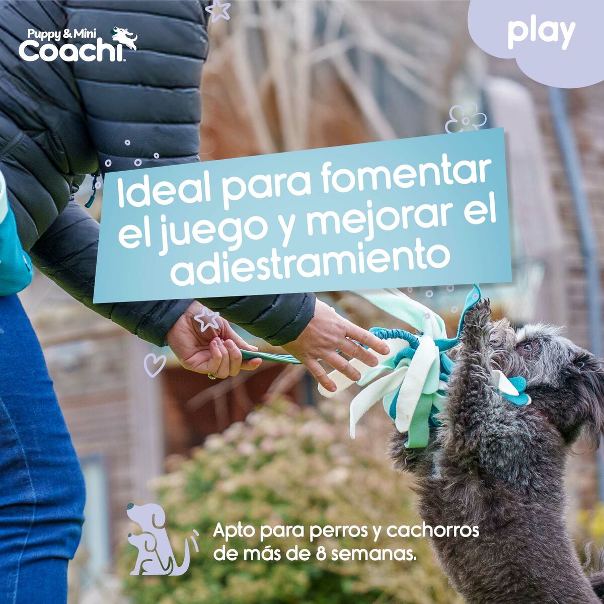 Hundespielzeug Coachi PUPPY & MINI TUGGI SPIDER grün – Ben's Pets – Produktansicht 3