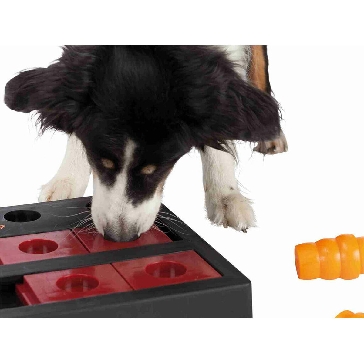 Hund untersucht das TRIXIE-Chess-Spielbrett mit geöffneten Futterfächern