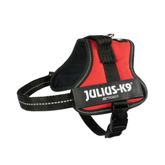 Hundegeschirr Julius K9 Power Rot – Produktansicht 8