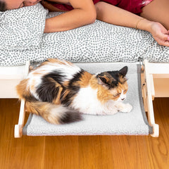 Katze in der Hamacat Hängematte neben einem Bett
