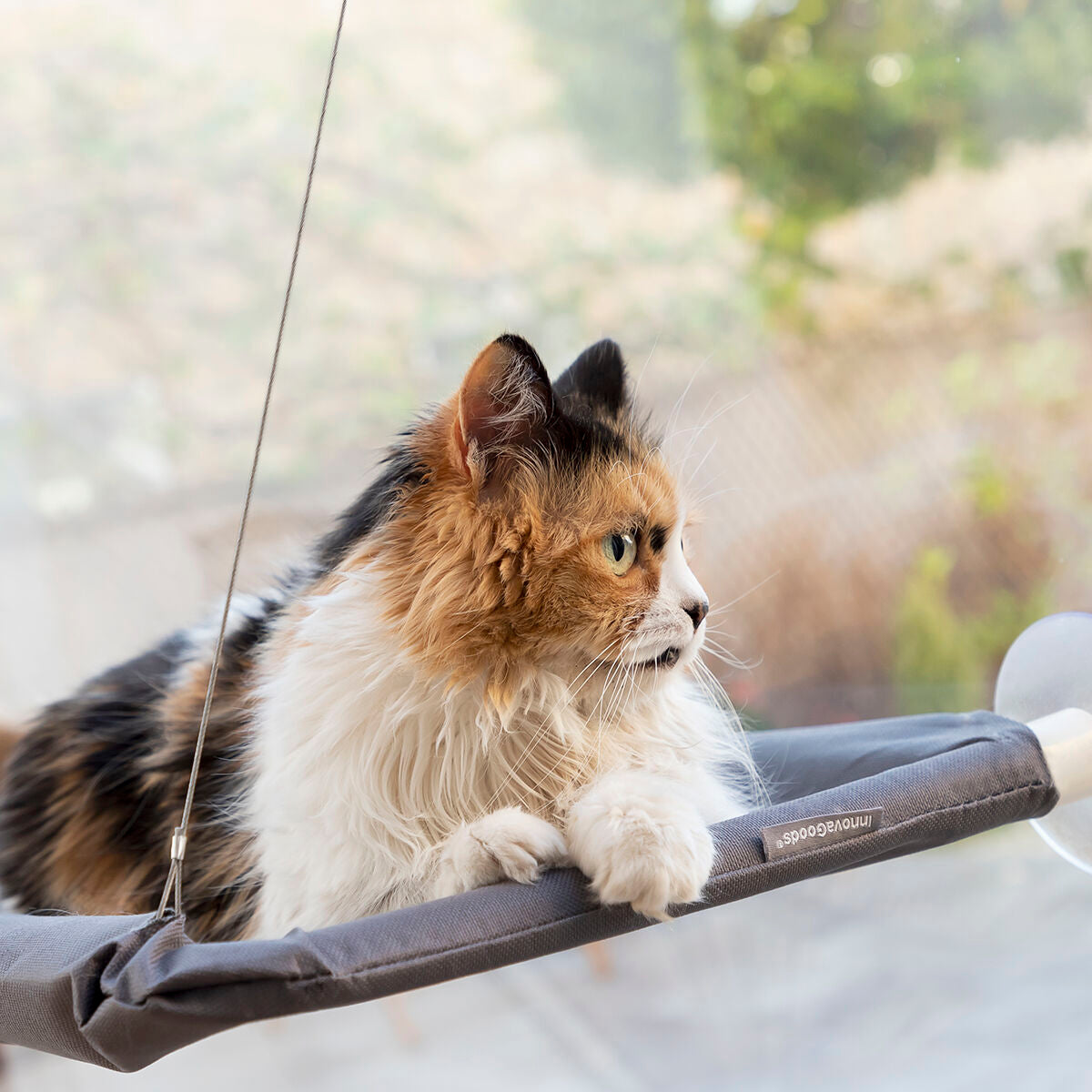 Pack Klammer für Selfies mit Haustieren und Hängematte für Katzen InnovaGoods – Produktansicht 10
