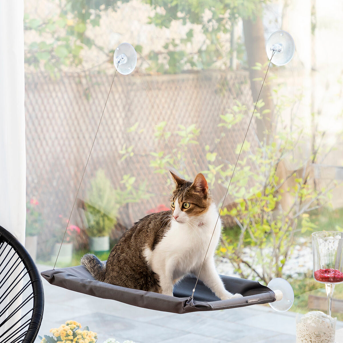 Sitzende Katze auf der grauen Catlax Liege am Fenster