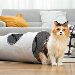Katze sitzt neben dem geöffneten Funnyl-Tunnel