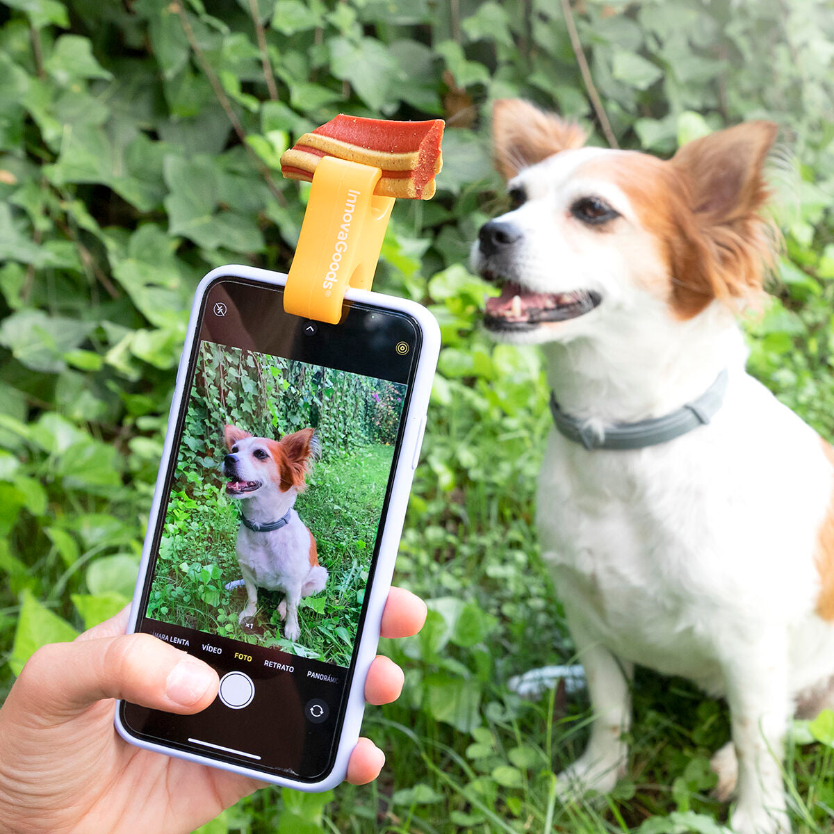 Pack Klammer für Selfies mit Haustieren und Hängematte für Katzen InnovaGoods – Produktansicht 2