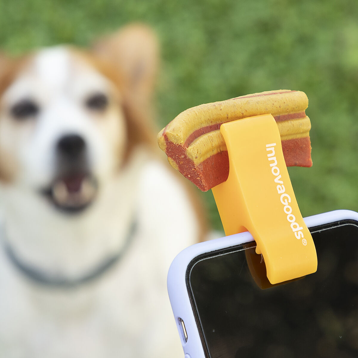 Pack Klammer für Selfies mit Haustieren und Hängematte für Katzen InnovaGoods – Produktansicht 4