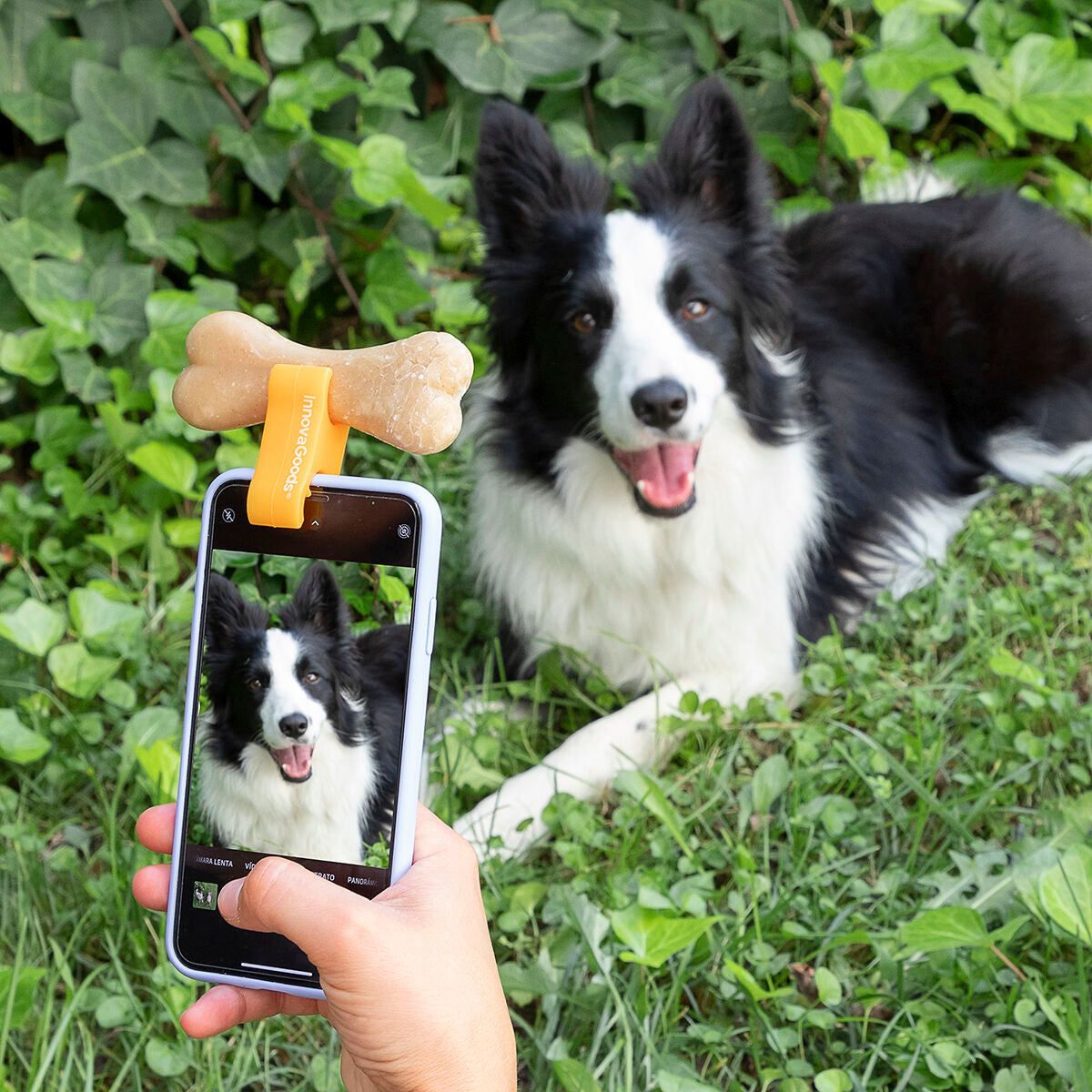 Pack Klammer für Selfies mit Haustieren und Hängematte für Katzen InnovaGoods – Produktansicht 6