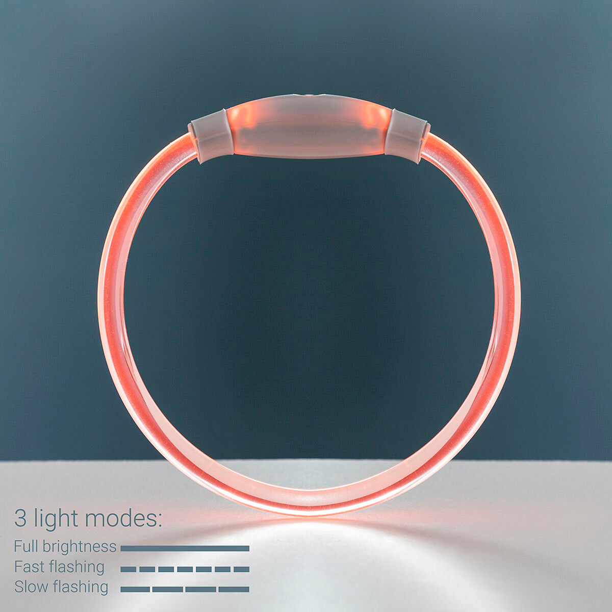 LED-Halsband für Haustiere Petlux – Ben's Pets – Produktansicht 5