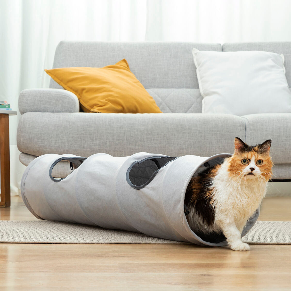 Katze kommt aus dem grauen Funnyl-Katzentunnel neben einem Sofa