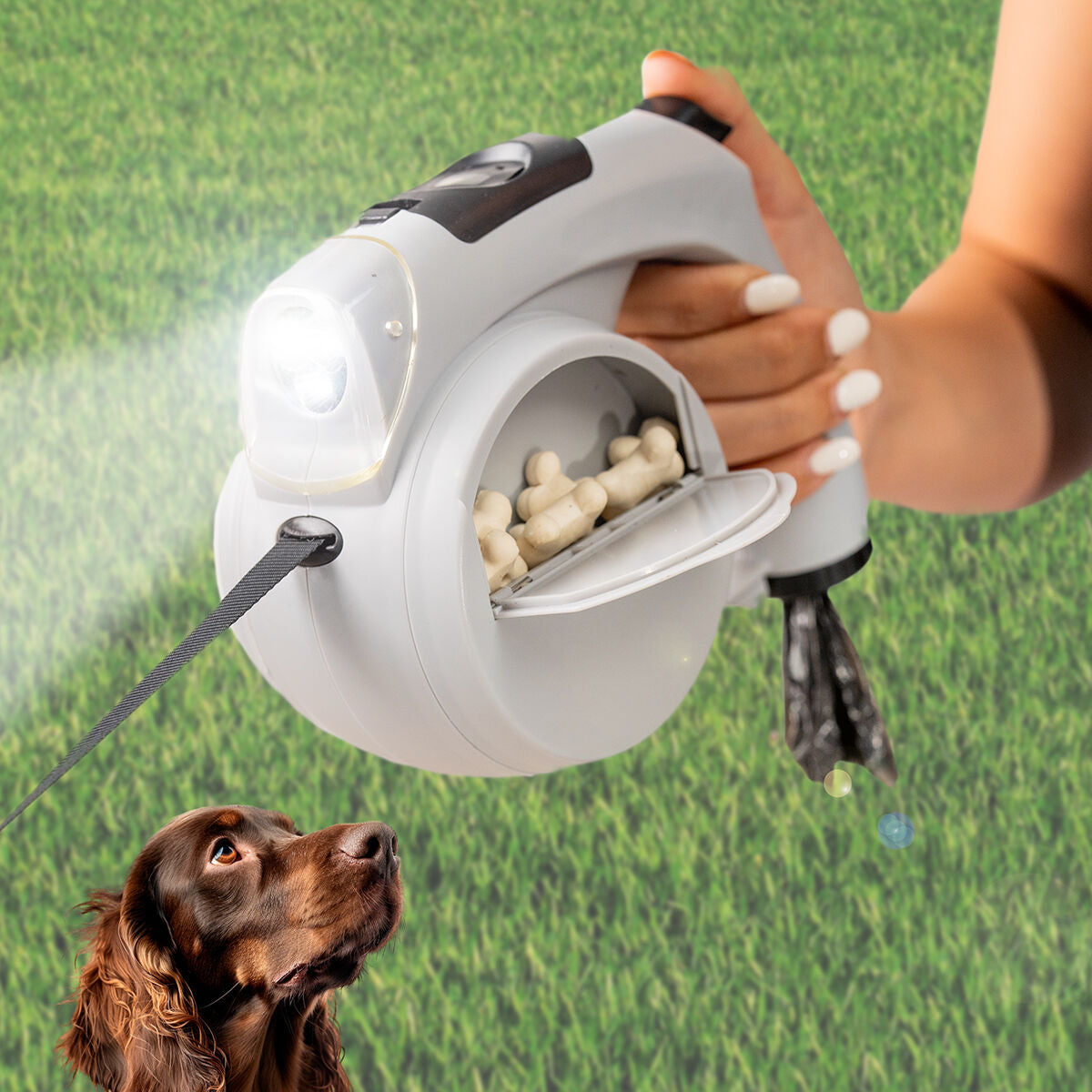 Leashic-Rollleine mit eingeschaltetem LED-Licht, geöffnetem Leckerli-Fach und Hund im Hintergrund