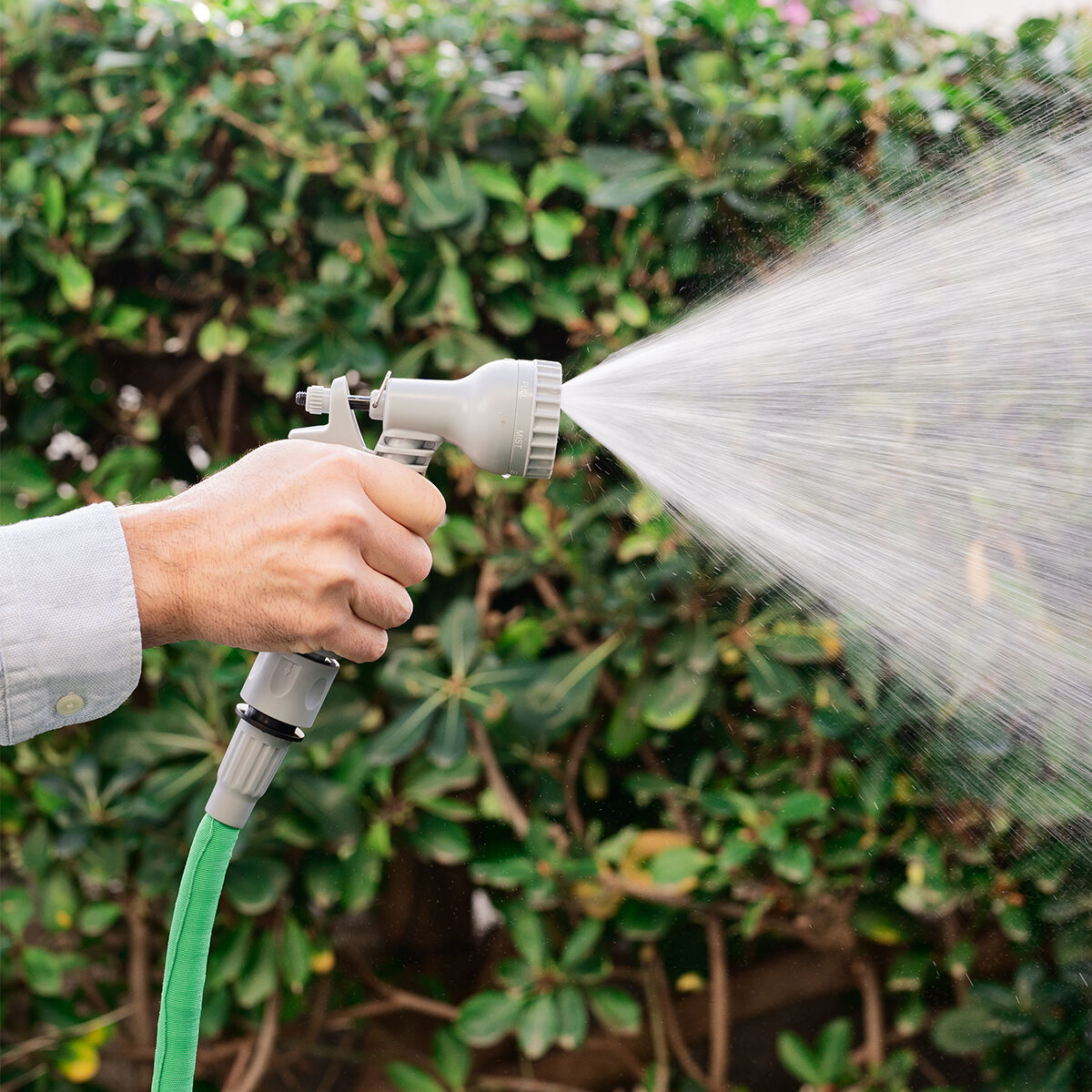 Graue Hoxtend-Brause sprüht Wasser vor einer Hecke